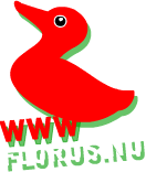 florus groenewegen freelance grafisch ontwerper: info@florus.nu